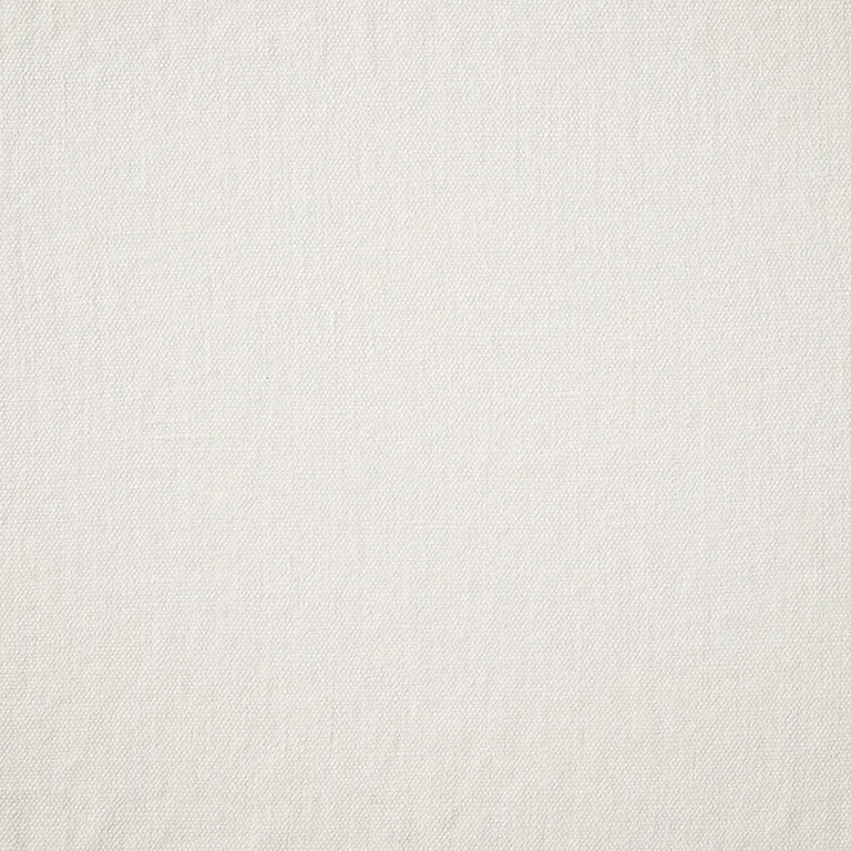Chukka - Swan